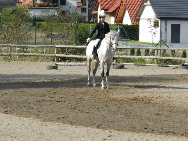 Babie Lato 2016